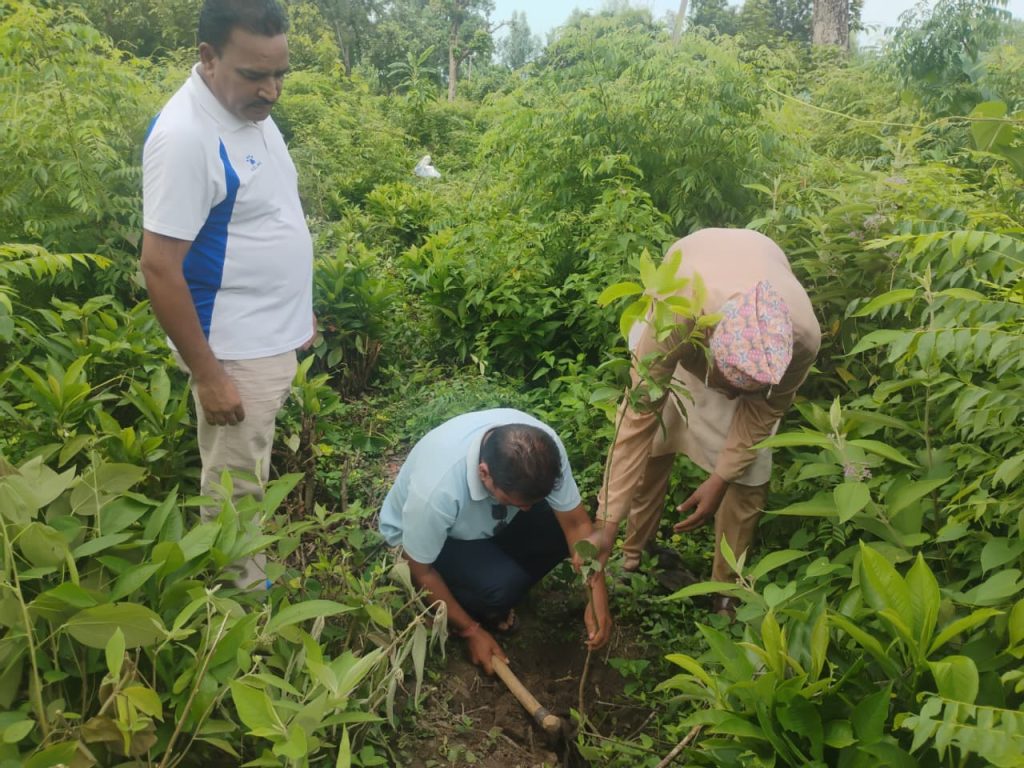बर्दगोरियामा गायत्री मञ्चले रोप्यो तिन सय फलफुलका विरुवा